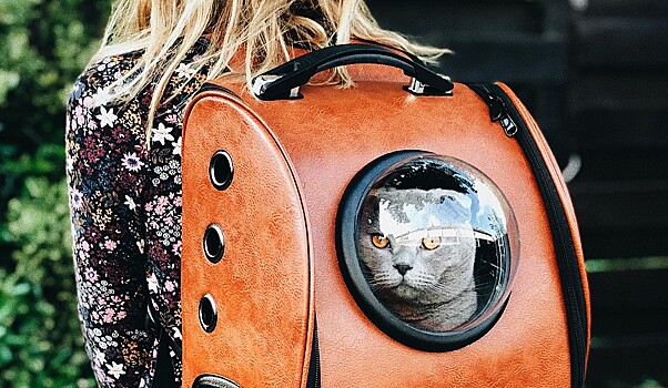 Туристы просят улучшить сервис в аэропортах для животных