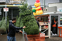 Продажи рождественских елок указали на оптимизм американцев