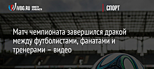 Матч чемпионата завершился дракой между футболистами, фанатами и тренерами – видео
