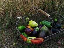 Диетолог рассказала, как бросить курить с помощью овощей