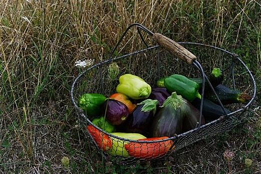 Диетолог рассказала, как бросить курить с помощью овощей