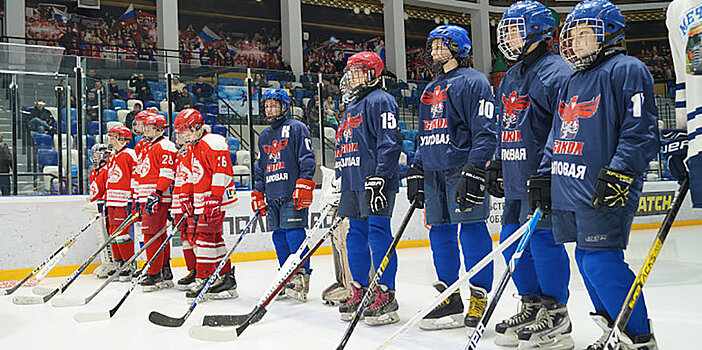 В Тульской области завершился региональный этап Всероссийских соревнований по хоккею «Золотая шайба»