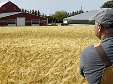 Кабардино-Балкария в 2022 году направит 72,5 млн рублей на стартапы в аграрном секторе