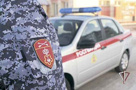 Росгвардейцы задержали подозреваемых в серии краж из автомобилей