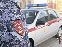 Росгвардейцы задержали подозреваемых в серии краж из автомобилей