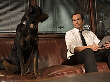 Лучшие комедии для семейного просмотра — лето 2018