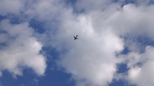 Пилот, посадивший самолет в поле под Новосибирском, раскритиковал работу следствия