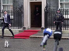 Кот Ларри бросился под ноги фотографу во время съемок президента Польши