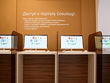 Жителей Волгоградской области предупреждают о сбоях в работе «Госуслуг»