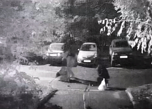 Приезжий отобрал сумку с миллионами рублей у жителя Москвы