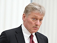 Песков отметил отвратительную русофобию за рубежом к соотечественникам