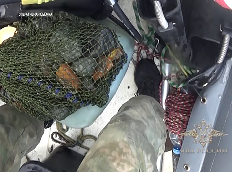 Полицейские изъяли 5 кг незаконно добытого янтаря