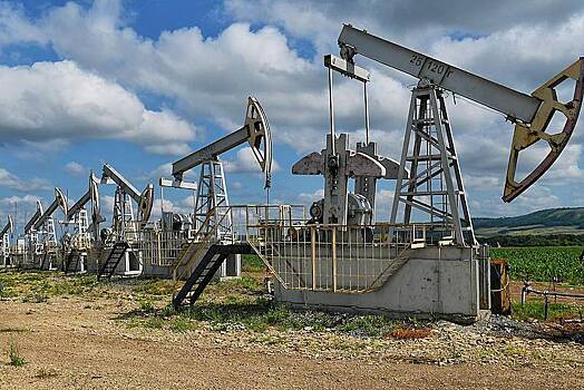 Путин поручил кабмину установить допиндикаторы цены на нефть
