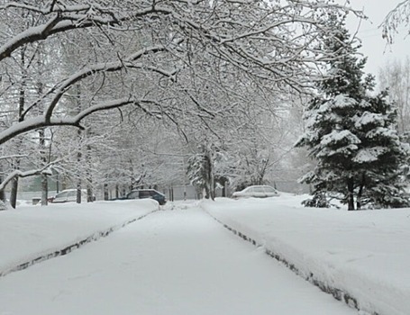 Снег будет идти в Ижевске 10 февраля