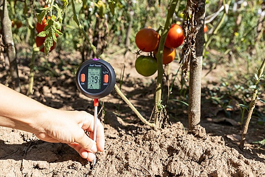 В Европе зафиксирована самая сильная засуха с 2012 года