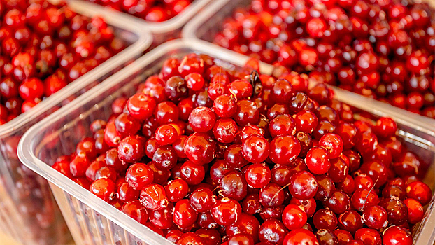 Богатые йодом продукты доступны на рынках «Москва — на волне» и ярмарках