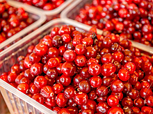 Богатые йодом продукты доступны на рынках «Москва — на волне» и ярмарках