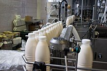 Россиян предупредили о резком росте цен на молоко