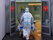 Биологи выяснили, с чем связаны вспышки АЧС в Европе