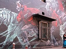 В Индии открылся международный фестиваль стрит-арта