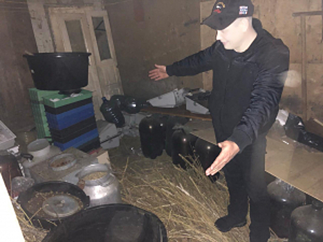 Оперативники в Тамбовской области изъяли из незаконного оборота 21 килограмм марихуаны
