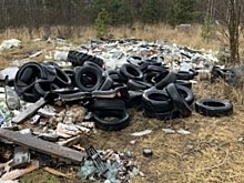 Незаконную свалку нашли на сельхозземлях в Нижегородской области