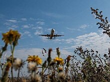В Минтрансе спрогнозировали сохранение не менее 70% парка воздушных судов России в концу 2025 года
