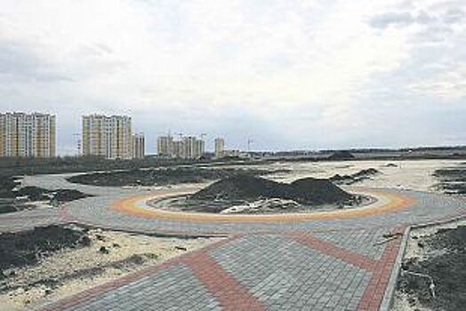 Вместо деревьев - стройка. Почему тамбовчан лишают части Олимпийского парка