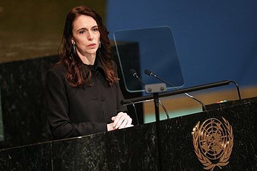 В Новой Зеландии призвали реформировать Совбез ООН