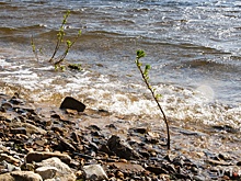 Под Волгоградом утопившую младенца мать отпустили домой