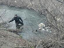 В Курске найдено тело погибшего в водоеме