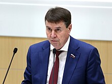 В Совфеде допустили конфискацию финских товаров