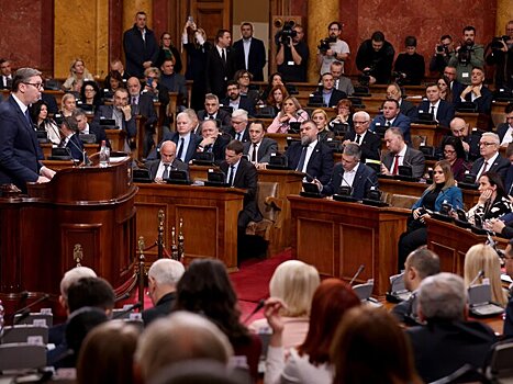 Парламент Сербии рассмотрит запрос об отставке главы Минэкономики за антироссийский призыв