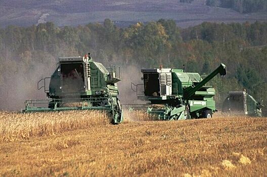 Владельцам ЛПХ Кубани компенсируют часть затрат на сельхозпроизводство