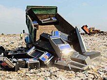 В Калининградской области обострилась проблема свалок в лесах