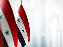 Власти Сирии сформировали совет нацбезопасности