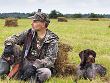 Охота по закону: где, когда и на кого можно охотиться в 2025 году