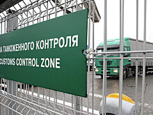 Экспортеры абхазской продукции получат субсидии