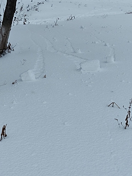 Кузбассовцы после непогоды заметили редкое природное явление