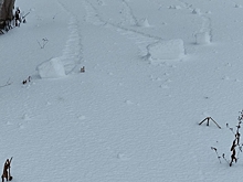 Кузбассовцы после непогоды заметили редкое природное явление