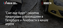 "Снег еще будет": синоптик предупредил о похолодании в Петербурге и Ленобласти в начале апреля