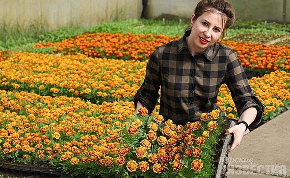 В Курске оборудуют около 255 цветников