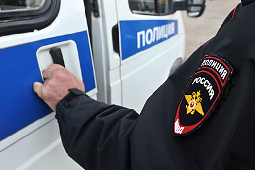 Российские полицейские устроили массовую драку