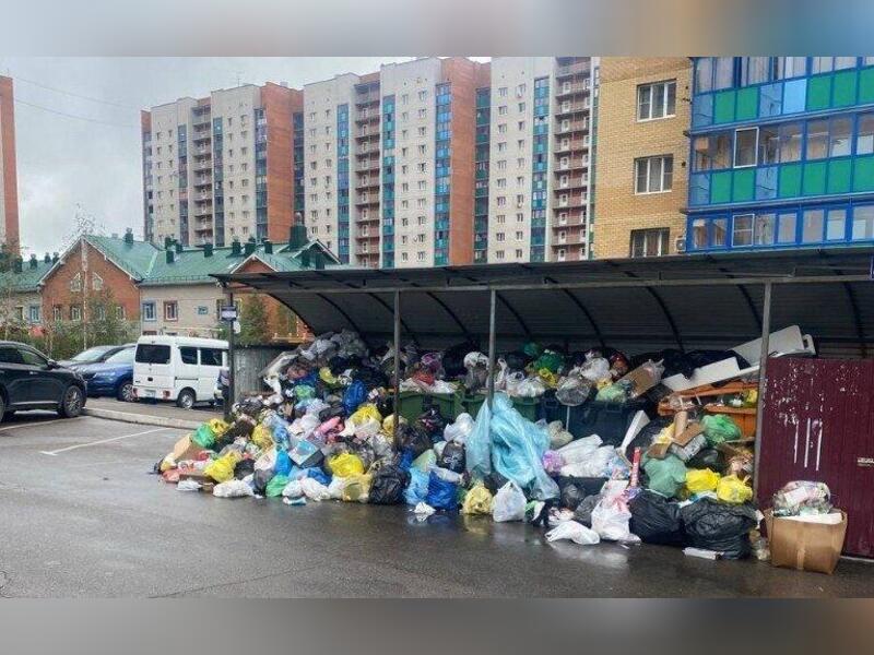 В мкр Царский не вывозят мусор около трех дней