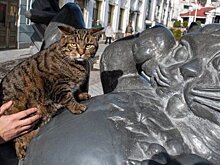 День в истории: казанские коты в Эрмитаже, освобождение Латвии и нулевой меридиан