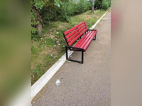 Парк в Чите постепенно становится свалкой мусора из-за отсутствия урн