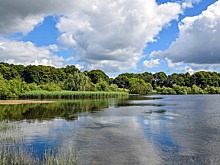 Шотландские фанаты хеви‐метала устроили вечеринку на острове. Полицейские приняли их за самоубийц и «спасли»