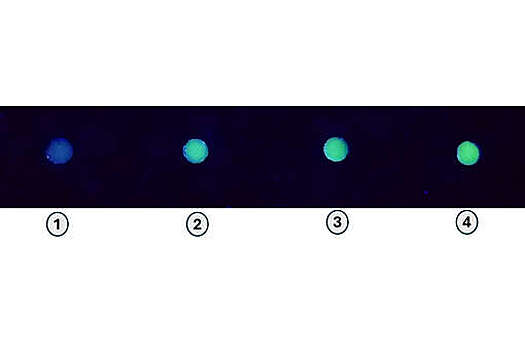 CAAJ: разработан дешевый и простой сенсор для раннего выявления рака печени