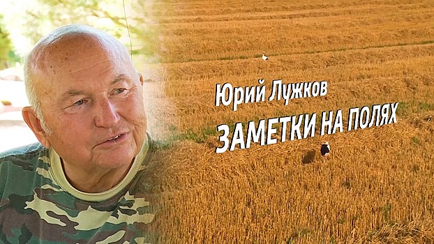 Юрий Лужков. Заметки на полях (часть 2)