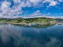 В России впервые начали использовать алюминиевую платинку при розливе напитков в банки